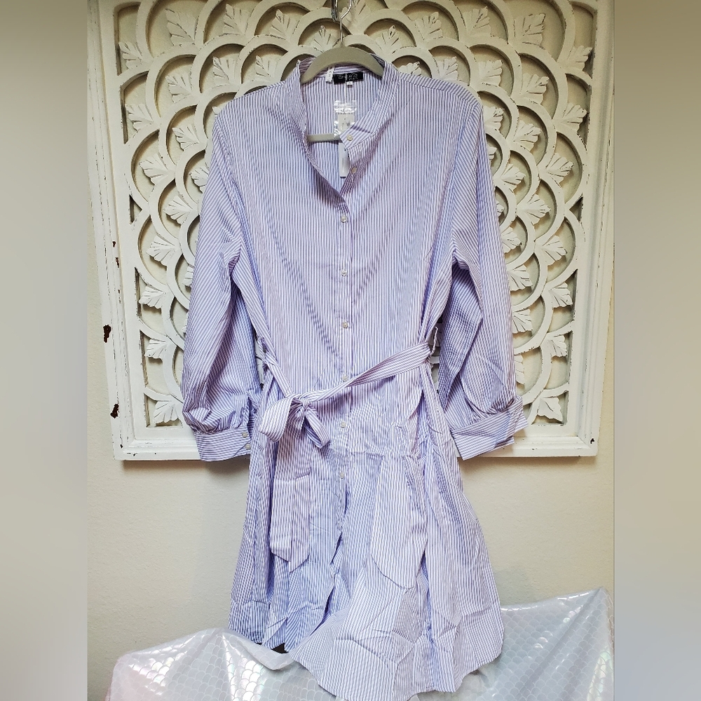 Lavender Pinstripe Shirt Dress NWT Angela Plus Best Fit Lg/XL - Picture 14 of 14